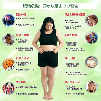 公式旗艦店🗾 🧑‍⚕️Alcuras®＆NAD+ 10-in-1 ナノ強化フォーミュラ — 肥満、肌のたるみ、糖尿病、睡眠時無呼吸症候群、関節の悩み、その他健康上の懸念にアプローチ