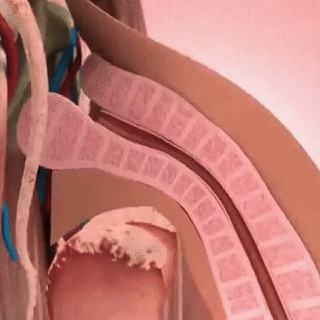 Alcuras® Crema de Erección Instantánea en 41 Segundos — La vía rápida hacia una erección más firme y duradera