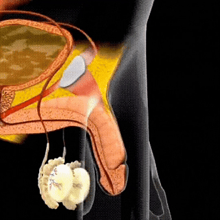 Alcuras® Crema de Erección Instantánea en 41 Segundos — La vía rápida hacia una erección más firme y duradera
